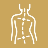 Hipercifose postural Hipercifose postural